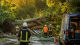 Vihar söpört végig Komárom-Esztergomon: kidőlt fák, útakadályok és áramszünetek