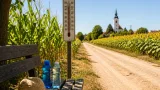 Visszatér a kánikula: vasárnap Békésben akár 34 fok is lehet