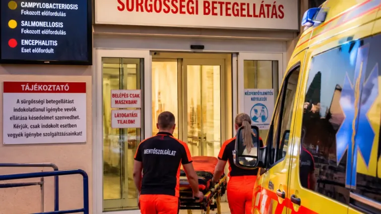 Fertőzések a héten: Heves megyében egy agyvelőgyulladásos esetet regisztráltak