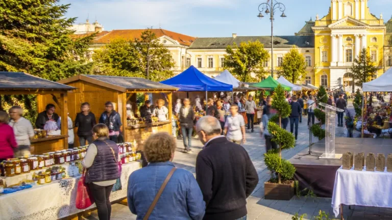 Helyi értékek és munkahelyteremtés: IX. Közfoglalkoztatási Kiállítás és Vásár Nyíregyházán