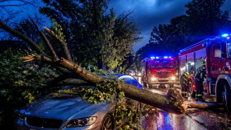 Heves zivatarok Somogyban: kidőlt fák, autókra zuhant ágak és folyamatos tűzoltói beavatkozások