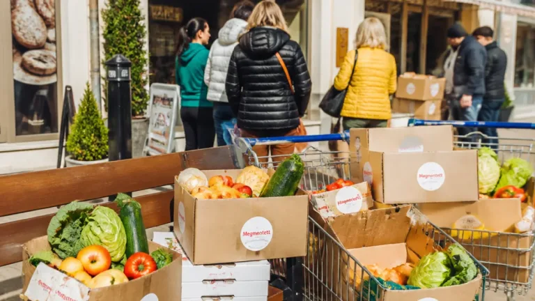 Szekszárd a csomagokkal csökkenti az élelmiszer-pazarlást — több mint 37 000 adag mentve