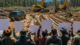 Anggota DPR Papua Tengah Desak Transparansi Penertiban Tambang di Nabire