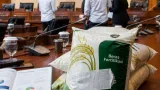 Anggota Komisi IV DPR Desak Penindakan Tegas Terhadap Pelanggaran Beras Fortifikasi