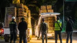 BKSDA Gagalkan Penyulundupan 198 Burung dari Kerinci ke Muaro Jambi