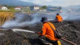 BPBD Padamkan Karhutla 500 m² di Maahas, Waspada Suhu Tinggi di Luwuk