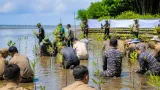 Delegasi IAWP dan Polri Tanam 250 Mangrove di Denpasar, Program Pantau Selama Satu Tahun