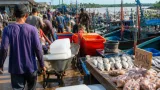 Dinas Perikanan Dorong Bongkar Muat Terpusat di Tanjung Selor untuk Perbaiki Data dan Perdagangan