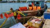 Enam Nelayan Kepri Divonis di Malaysia, Denda Besar dan Kapal Disita