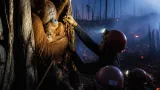 Evakuasi Orangutan di Sampit: BKSDA Selamatkan Induk dan Bayi dari Area Bekas Karhutla