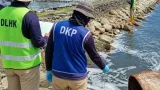 Gubernur NTB Perintahkan DLHK dan DKP Verifikasi Dugaan Pencemaran di Sambik Elen