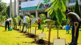 Gubernur Papua Barat Canangkan Gerakan Satu Juta Pohon Matoa untuk Pelestarian Hutan