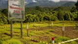 Gubernur Pastikan Lelang Pembangunan KIPP Papua Pegunungan Ditunda ke November 2026
