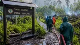Hujan Turun, Titik Api di TN Berbak dan Sembilang Berkurang Meski Asap Masih Ada