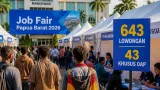 Job Fair Manokwari Tawarkan 643 Lowongan, 43 Khusus Orang Asli Papua untuk Redam Pengangguran