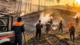 Karhutla di Lereng Merapi Magelang: Empat Hektare Hutan TNGM Terbakar