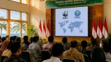 Langsa Diakui WWF atas Komitmen Aksi Iklim, Dorong Integrasi Energi dan Lingkungan