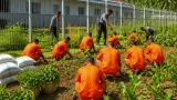 Luwuk: Lapas Kelas IIB Kembangkan Ketahanan Pangan melalui Lahan SAE dan Asimilasi