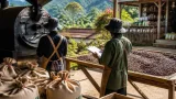 Pagar Alam Perkuat Identitas Kopi Lokal lewat Penguatan Kualitas dan Pengolahan