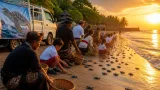 Pelepasan 100 Tukik di Pantai Camplung Perkuat Upaya Pelestarian Penyu di Singaraja