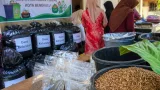 Pemkot Bengkulu dorong pengelolaan sampah produktif di tingkat kelurahan