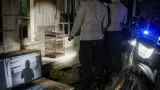 Pencurian Burung Kenari Bernilai Rp3 Juta di Bantul: Pelaku Ditangkap Polisi