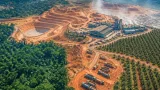 Pertambangan dan Sawit Kuasai Hilangnya Tutupan Hutan di Sulawesi, Tekanan Besar di Sulawesi Tengah