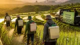 PT Vale Dorong 200 Petani Kolaka Terapkan Sistem Tanam Padi Organik