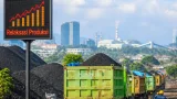 Relaksasi Produksi Batu Bara dan Implikasinya bagi Ekonomi: Apa Artinya bagi Batu