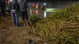Tragedi di Mamuju Tengah: Siswa SMP Tewas Diterkam Buaya di Sungai Budong-budong