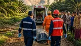 Warga Kubu Raya Tutup Usia Saat Membantu Pemadaman Karhutla di Kebun Sawit