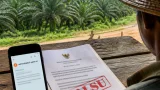 Waspada Surat Palsu: Upaya Pengambilan Data Petani Sawit Mengincar Merauke