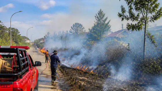 BPBD: Lebih dari 50 Titik Karhutla Sejak Agustus, Ancaman Langsung bagi Warga Balikpapan