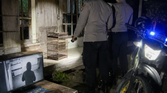Pencurian Burung Kenari Bernilai Rp3 Juta di Bantul: Pelaku Ditangkap Polisi