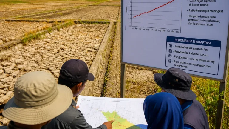 El Niño Sangat Kuat, Sulawesi Tenggara Diminta Segera Alihkan Informasi Iklim ke Tindakan