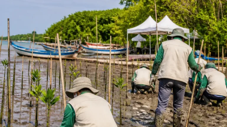 Gresik Tanam 10.000 Mangrove di Randuboto, Upaya Bersama Lindungi Pesisir