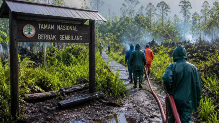 Hujan Turun, Titik Api di TN Berbak dan Sembilang Berkurang Meski Asap Masih Ada