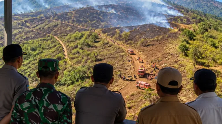 Kapolda Papua Barat Tinjau Karhutla Gunung Botak, Sekitar 40% Kawasan Terbakar