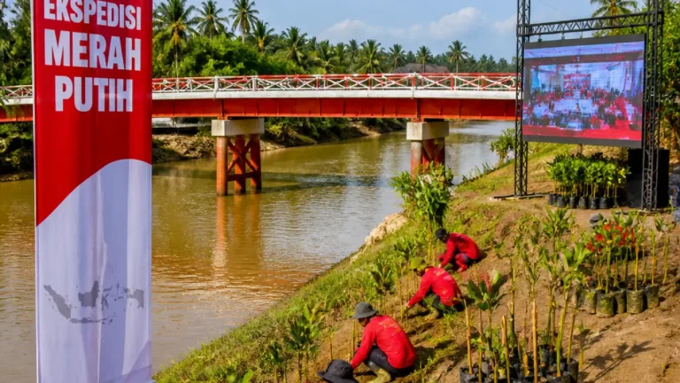 Kapolda Riau Laporkan Ekspedisi Merah Putih dan Pembangunan Jembatan ke Presiden, Sertakan Program Restorasi Mangrove