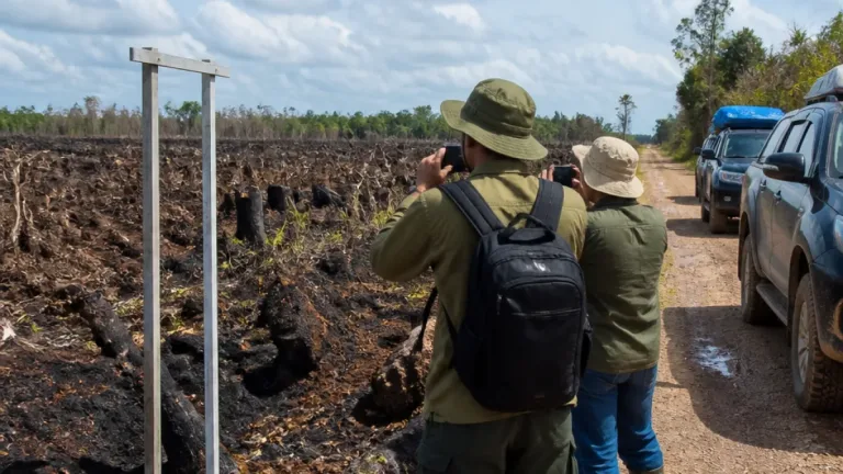 KLH Sebut 12 Perusahaan di Kalimantan Terduga Biang Karhutla, Kalbar Terbesar