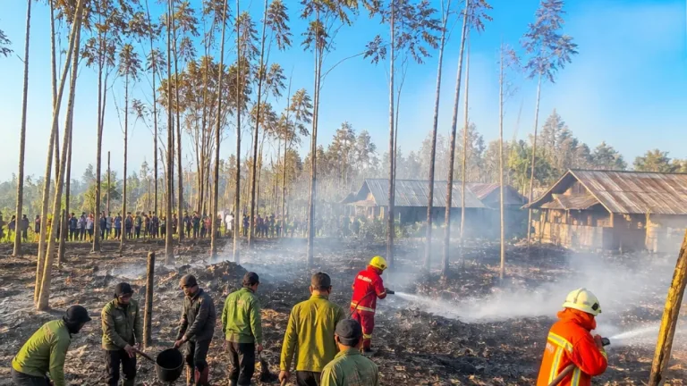 Kodim 1418/Mamuju dan Unsur Gabungan Padamkan Kebakaran Lahan di Desa Sumare