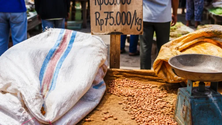 Kupang: Harga Kacang Tanah Melonjak hingga Rp75 Ribu per Kilogram, Pasokan Menipis