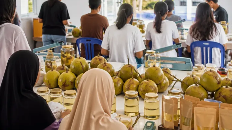 Mahasiswa KKN STAIN Majene Bina PKK Tallu Banua Olah Minyak Kelapa untuk Pasar
