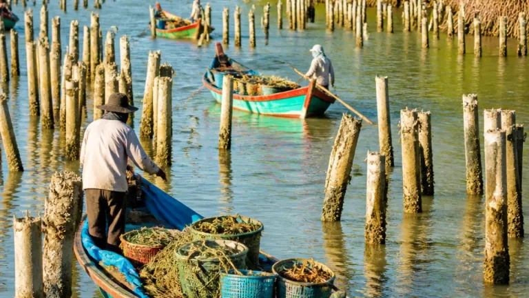 Nelayan Teluk Tering Minta Ratusan Pancang Beton Dibongkar karena Menyempitkan Laut
