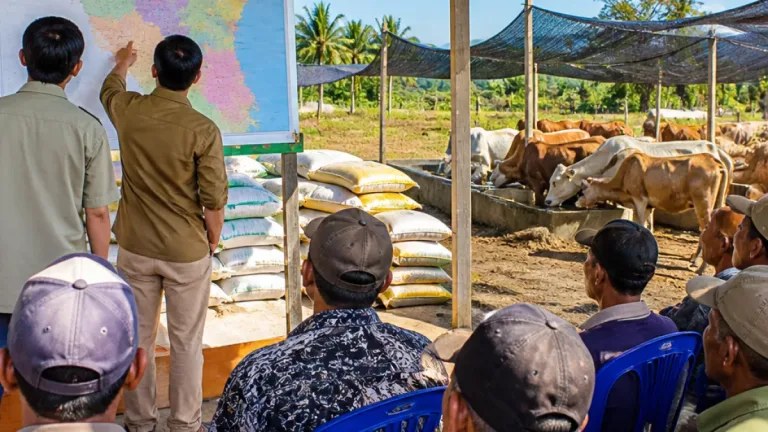 Pemkab Gorontalo Utara Perkuat Edukasi Peternak untuk Tingkatkan Populasi Sapi di Gorontalo