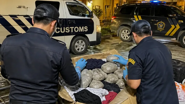 Pengiriman 306 Gram Ganja dari Jayapura Digagalkan Bea Cukai dan Polresta Sorong