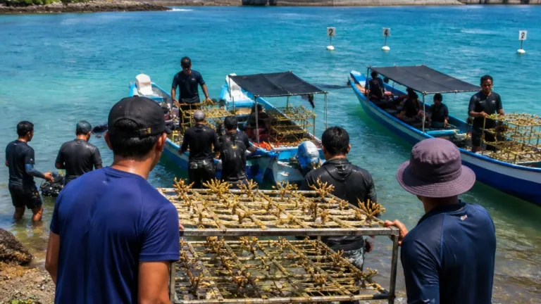 Pertamina Tanam 760 Bibit, Upaya Pemulihan Terumbu Karang di Perairan Pulau Tikus