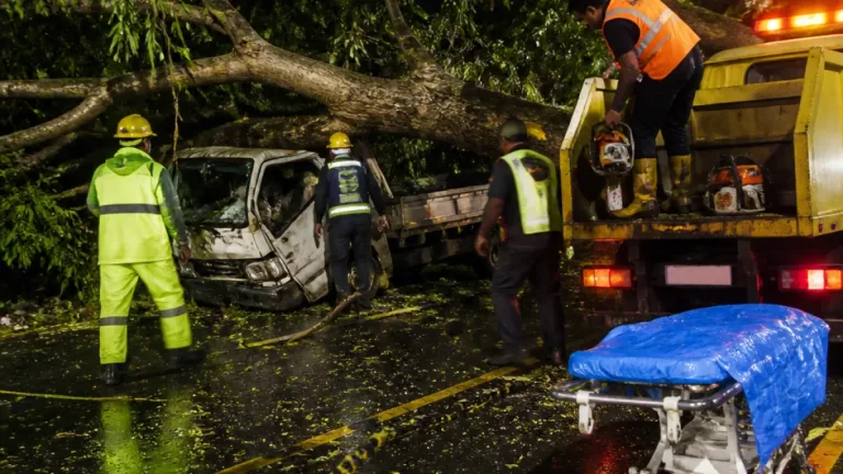 Pohon Tumbang Timpa Pikap di Pidie, 7 Warga Puli Seuke Tewas