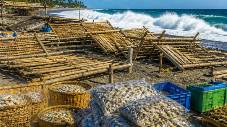 Produksi Ikan Kering di Maumere Menurun, Harga Melonjak Dua Kali Lipat