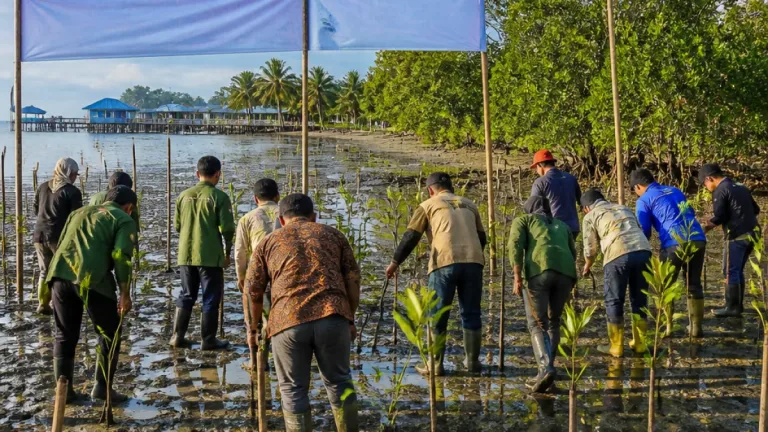 Rektor Unismuh Dorong Kolaborasi Hexahelix untuk Pelestarian Mangrove di Luwuk